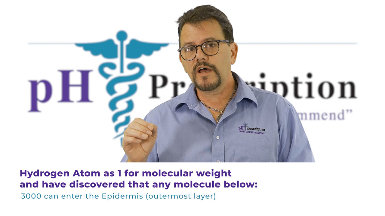 Molecular Weight Explained